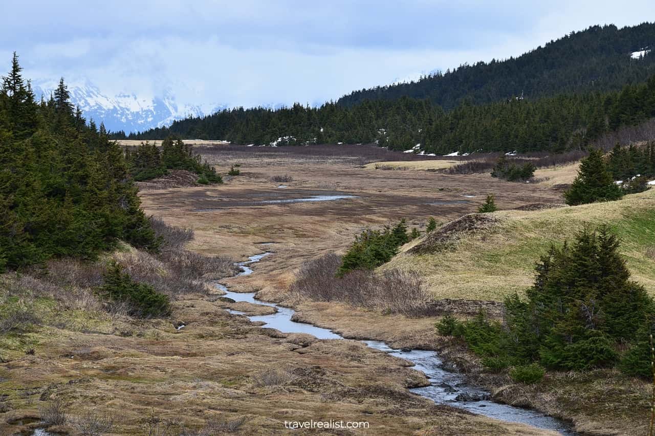 Creek and meadows in Chugach National Forest, Alaska, US