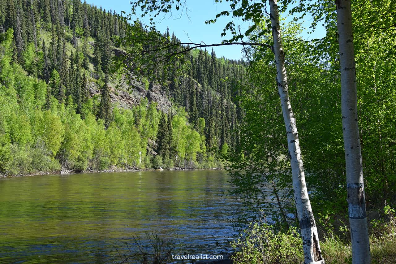 Salcha River State Recreation Area near Fairbanks, Alaska, US