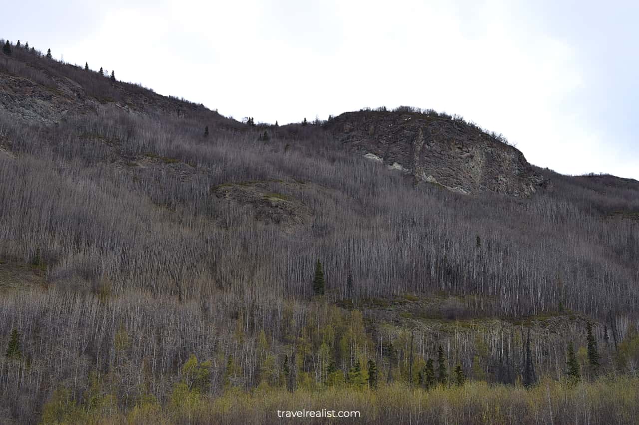 Dark canyon views near Matanuska Glacier in Alaska, US