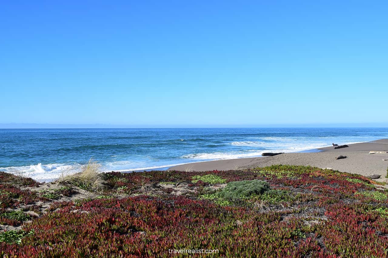 Pacific Ocean from Point Reyes National Seashore in California, US