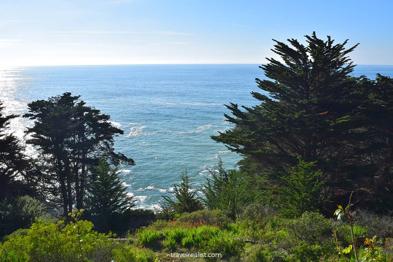 Julia Pfeiffer Burns State Park in Coastal California, US