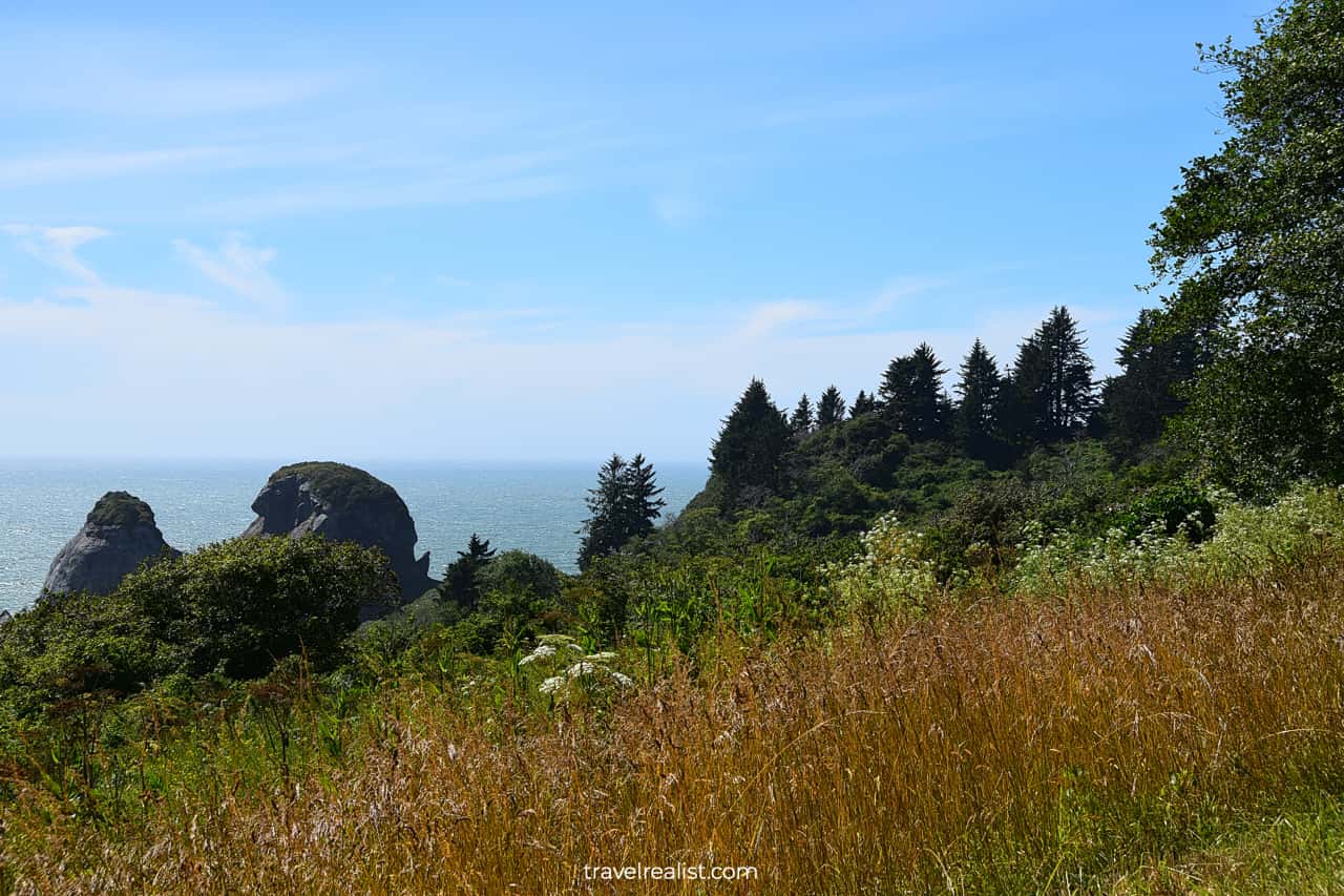 Pacific Ocean in Redwood National Park, California, US