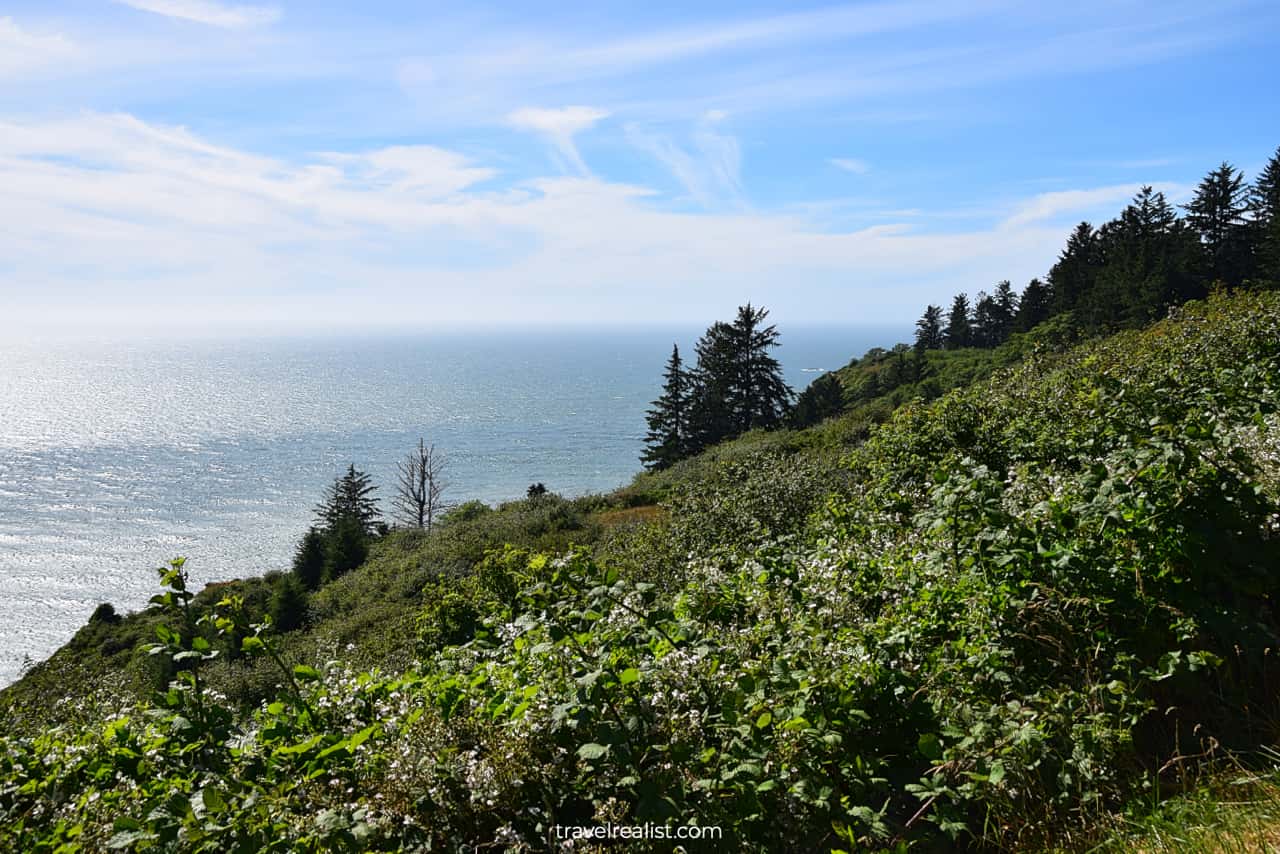 Views from Klamath River Overlook in Redwood National Park, California, US