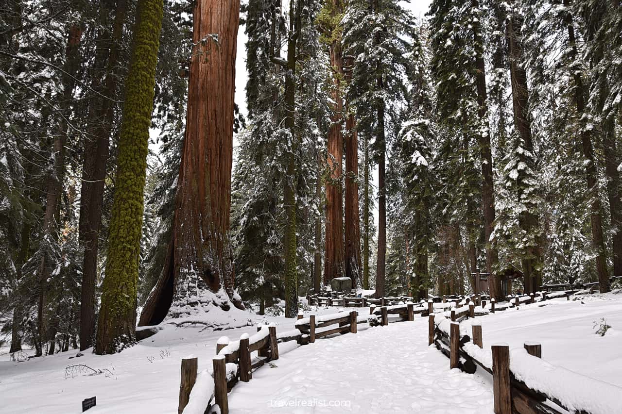 Snow on trails in Sequoia National Park, California, US