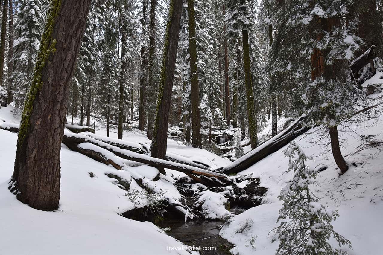 Unfrozen Sherman Creek in Sequoia National Park, California, US