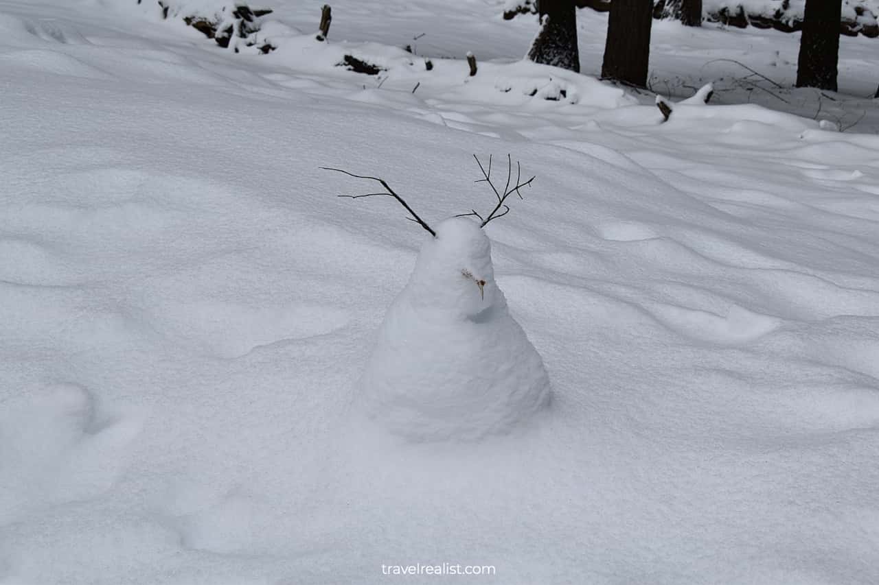 Snowman in Sequoia National Park, California, US