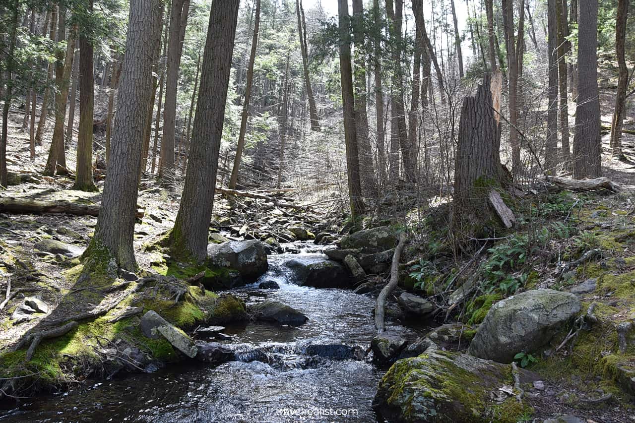 Creek in forest near Buttermilk Falls in Delaware Water Gap National Recreation Area, Pennsylvania, New Jersey, US