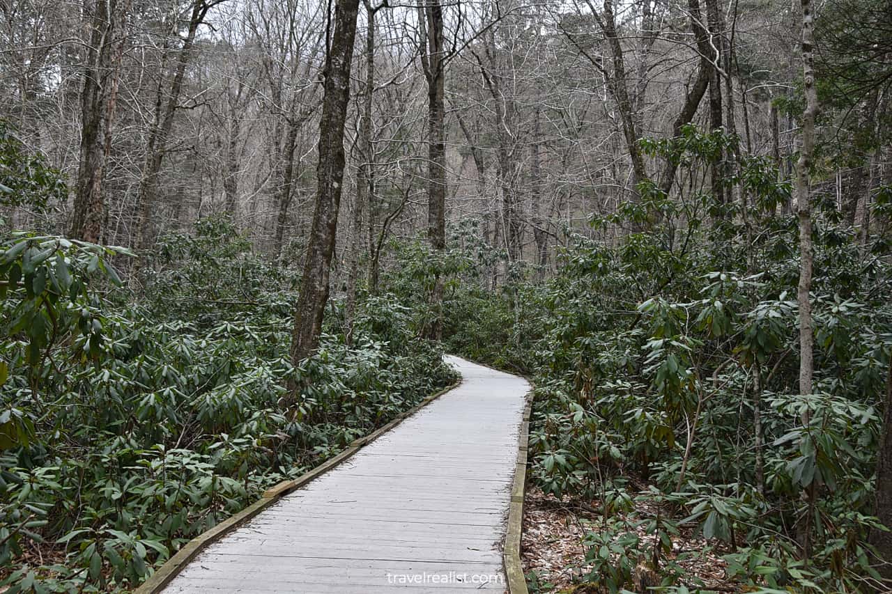 Dingmans Creek Trail in Delaware Water Gap National Recreation Area, Pennsylvania, New Jersey, US