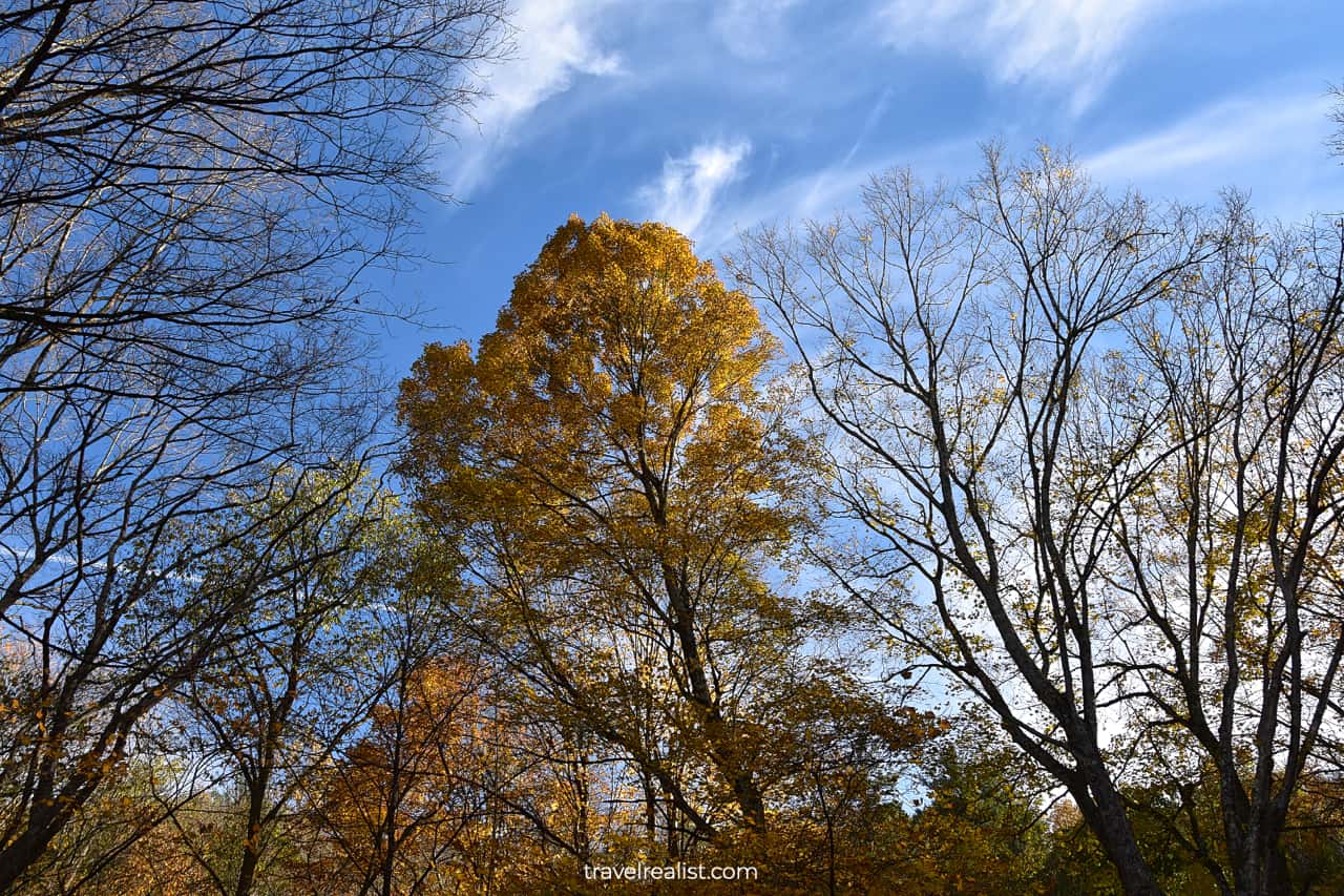 Fall foliage in Delaware Water Gap National Recreation Area, Pennsylvania, New Jersey, US