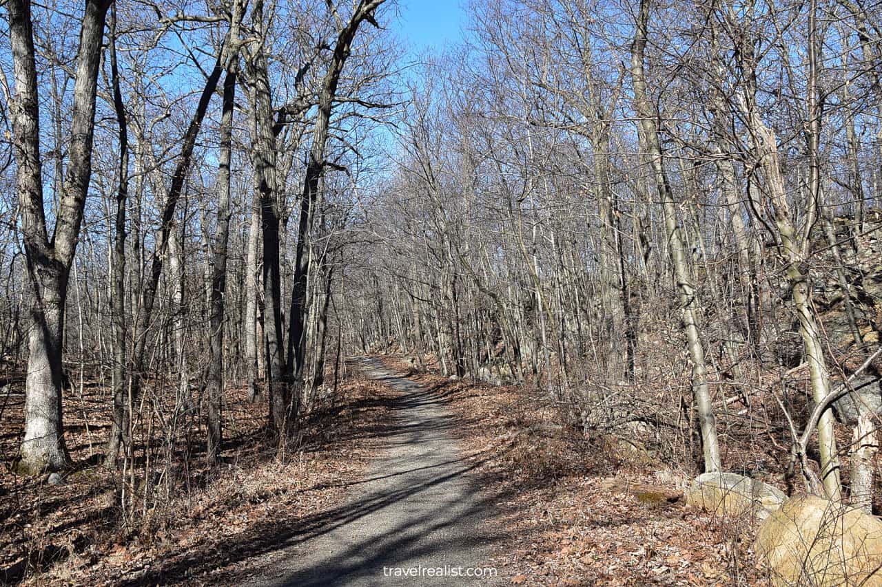 Unpaved road in Ramapo Mountain State Park, New Jersey, US