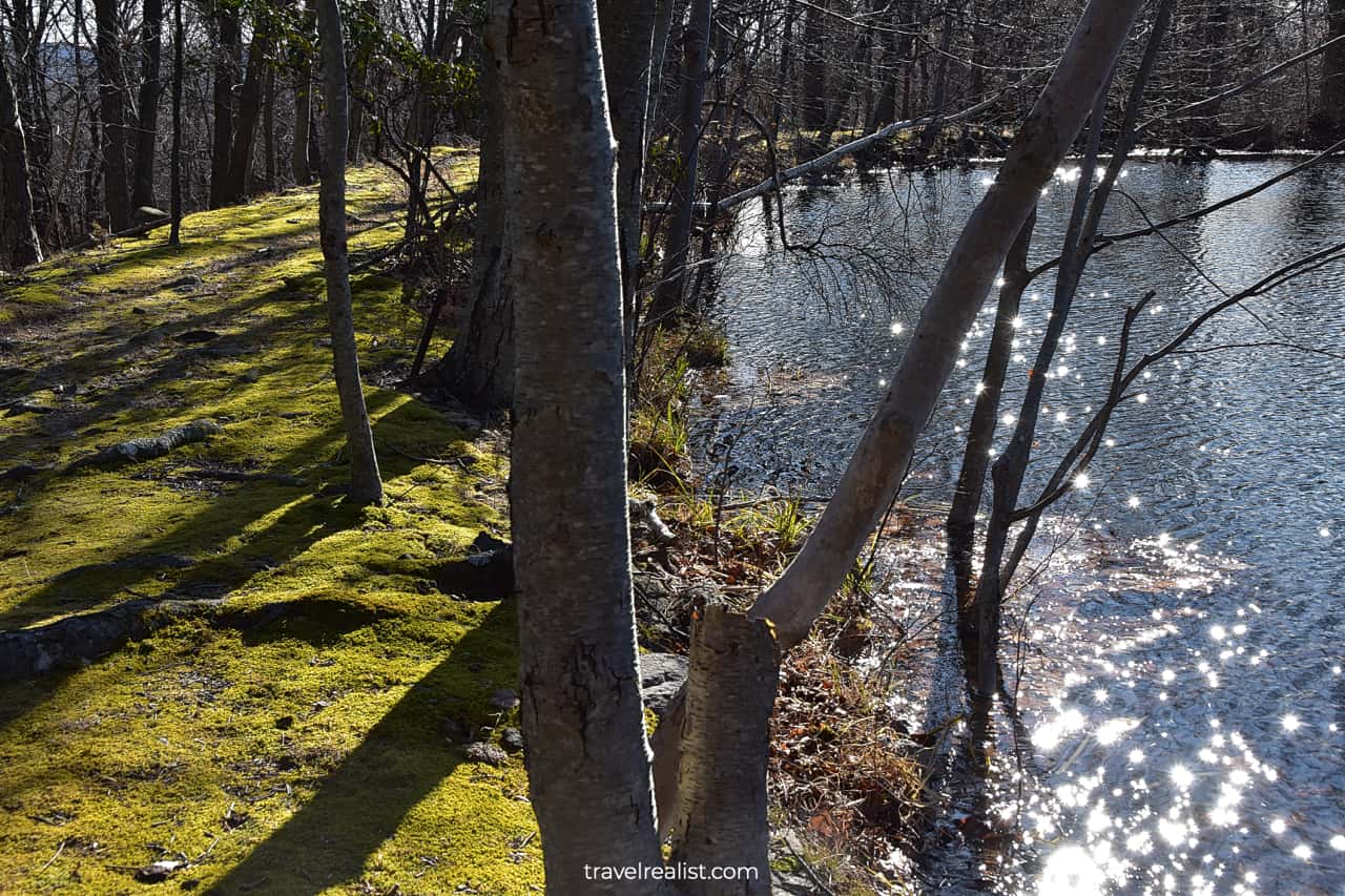 Pond on Yellow Trail in Ramapo Mountain State Park, New Jersey, US