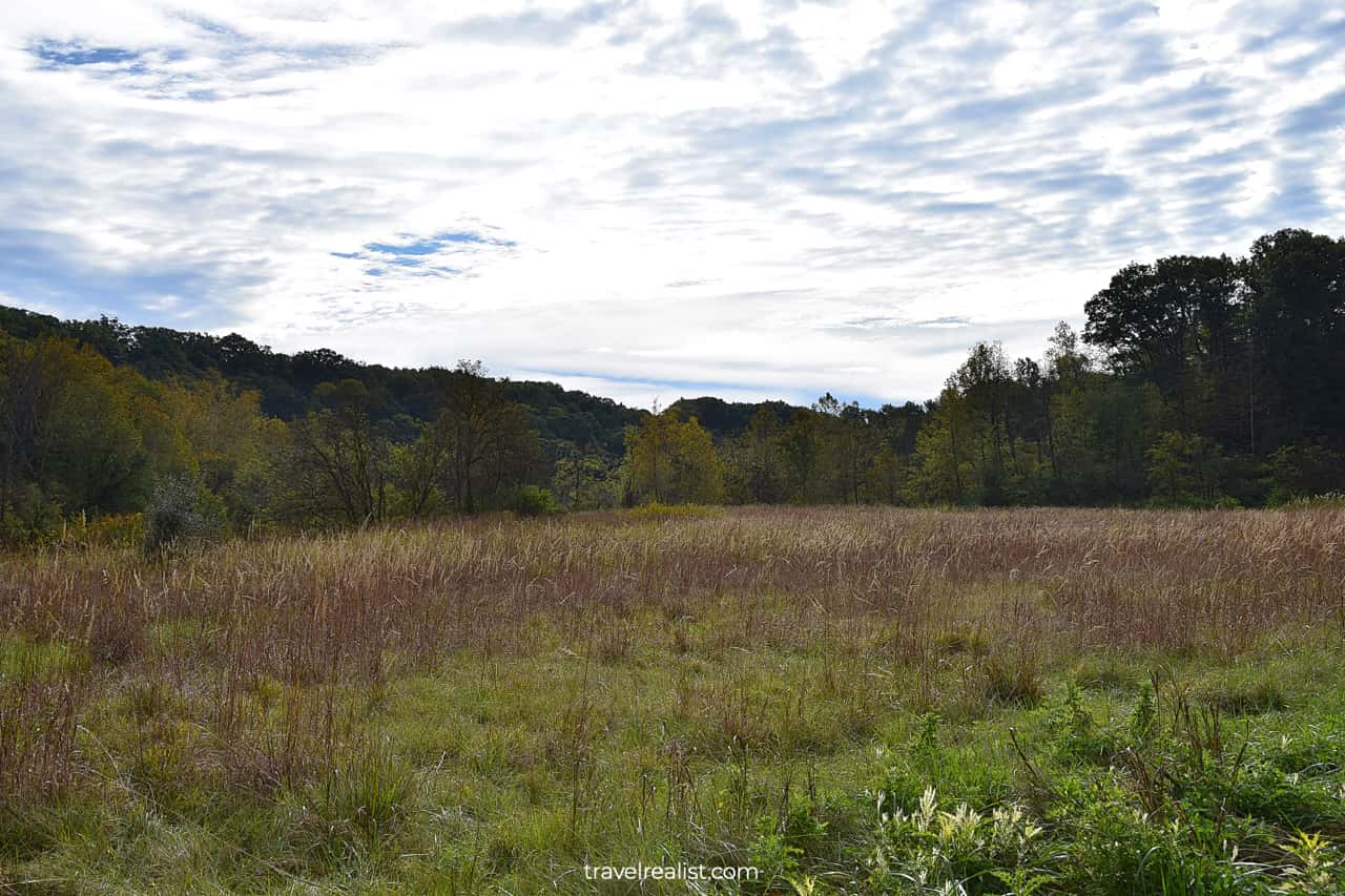 Meadows along the Cuyahoga River in Cuyahoga Valley National Park, Ohio, US