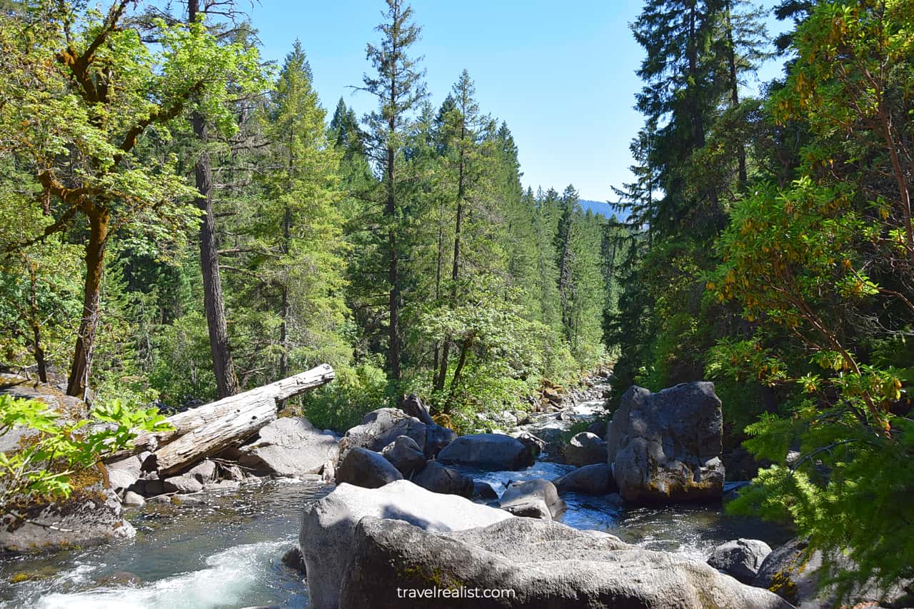 Prospect State Scenic Viewpoint in Oregon, US, the next stop on Northern California and Oregon itinerary