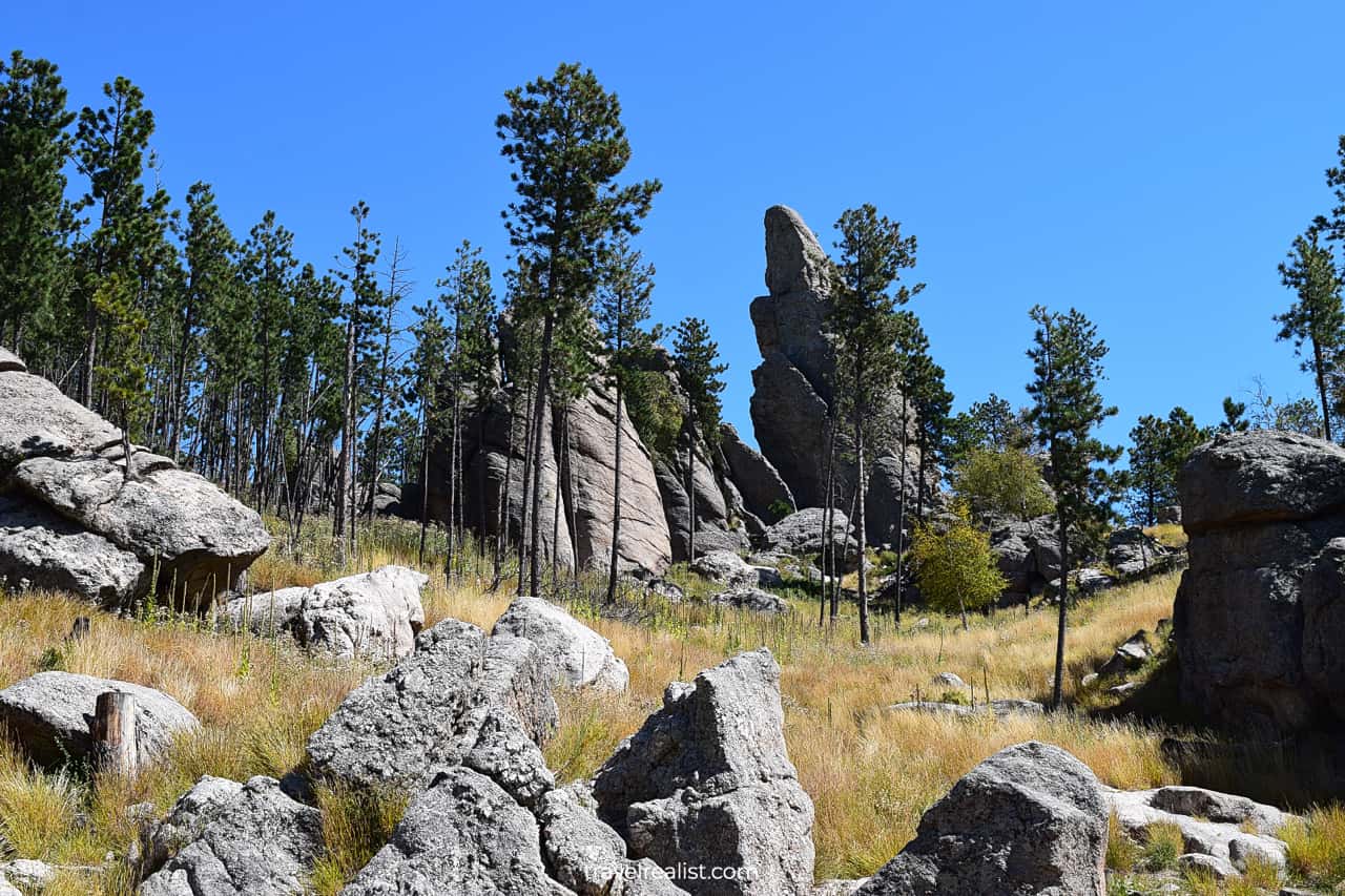 Boulders and meadows in Custer State Park, South Dakota, US