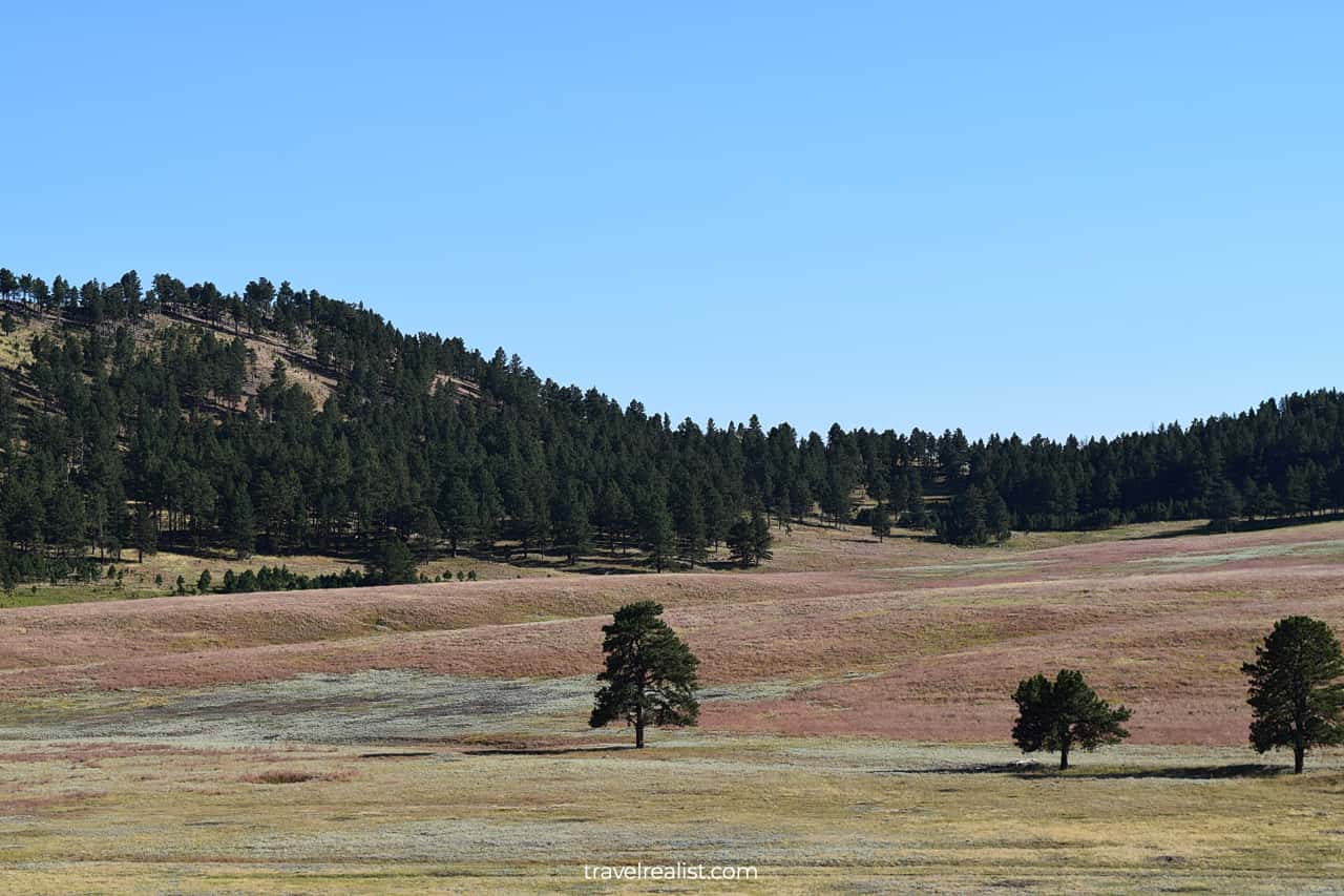 Scenic meadows and hills in Wind Cave National Park, South Dakota, US