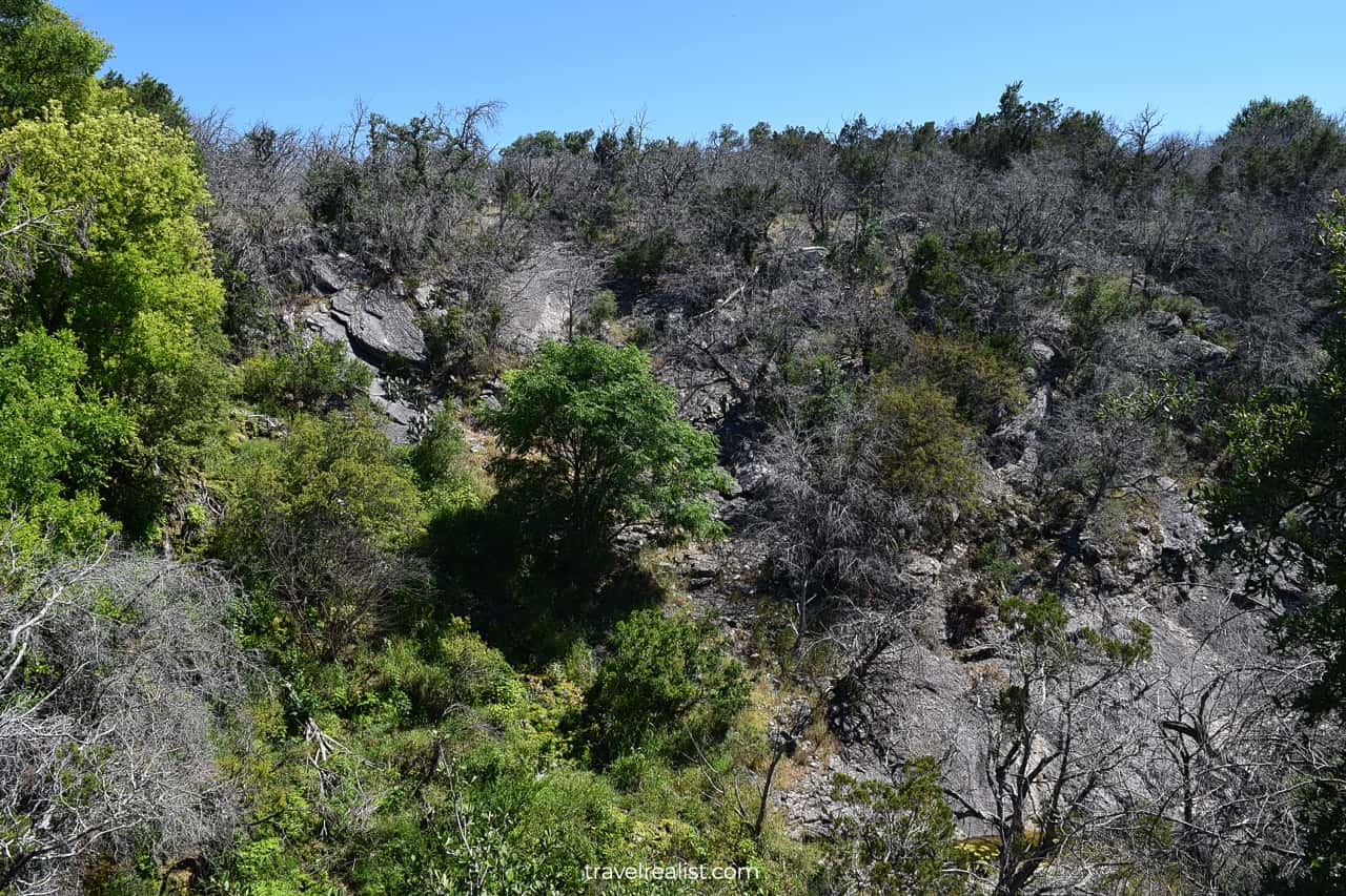 Steep section of Gorman Falls Trail in Colorado Bend State Park, Texas, US