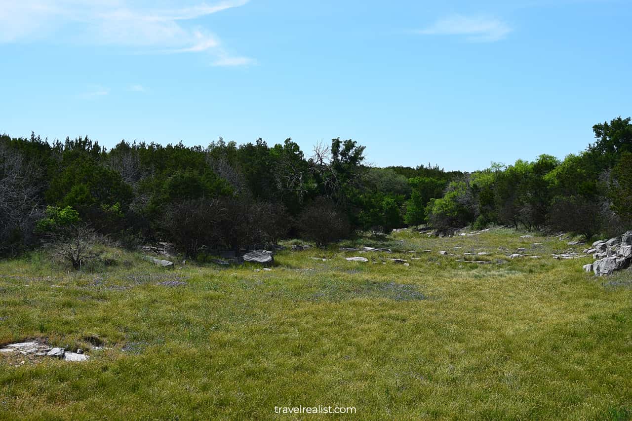 Spring wildflowers in Colorado Bend State Park, Texas, US