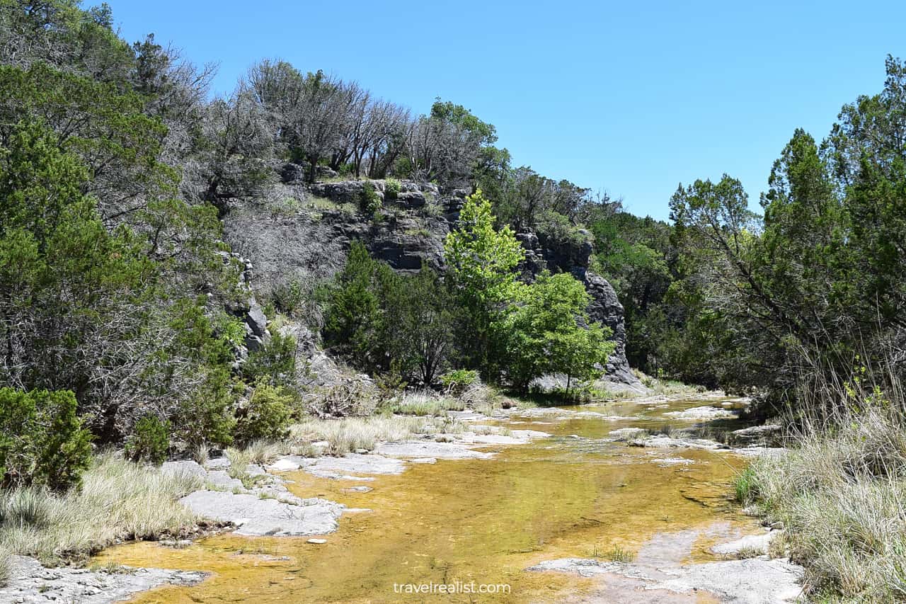 At spring level in Colorado Bend State Park, Texas, US