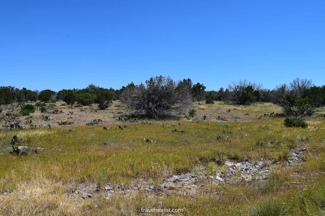 Landscapes around Gorman Falls trail in Colorado Bend State Park, Texas, US