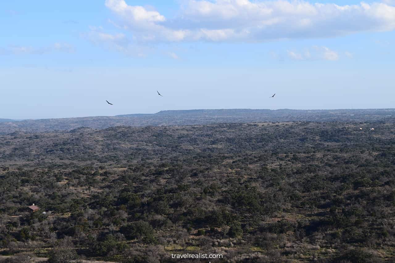 Vultures circling in Enchanted Rock State Natural Area, Texas, US