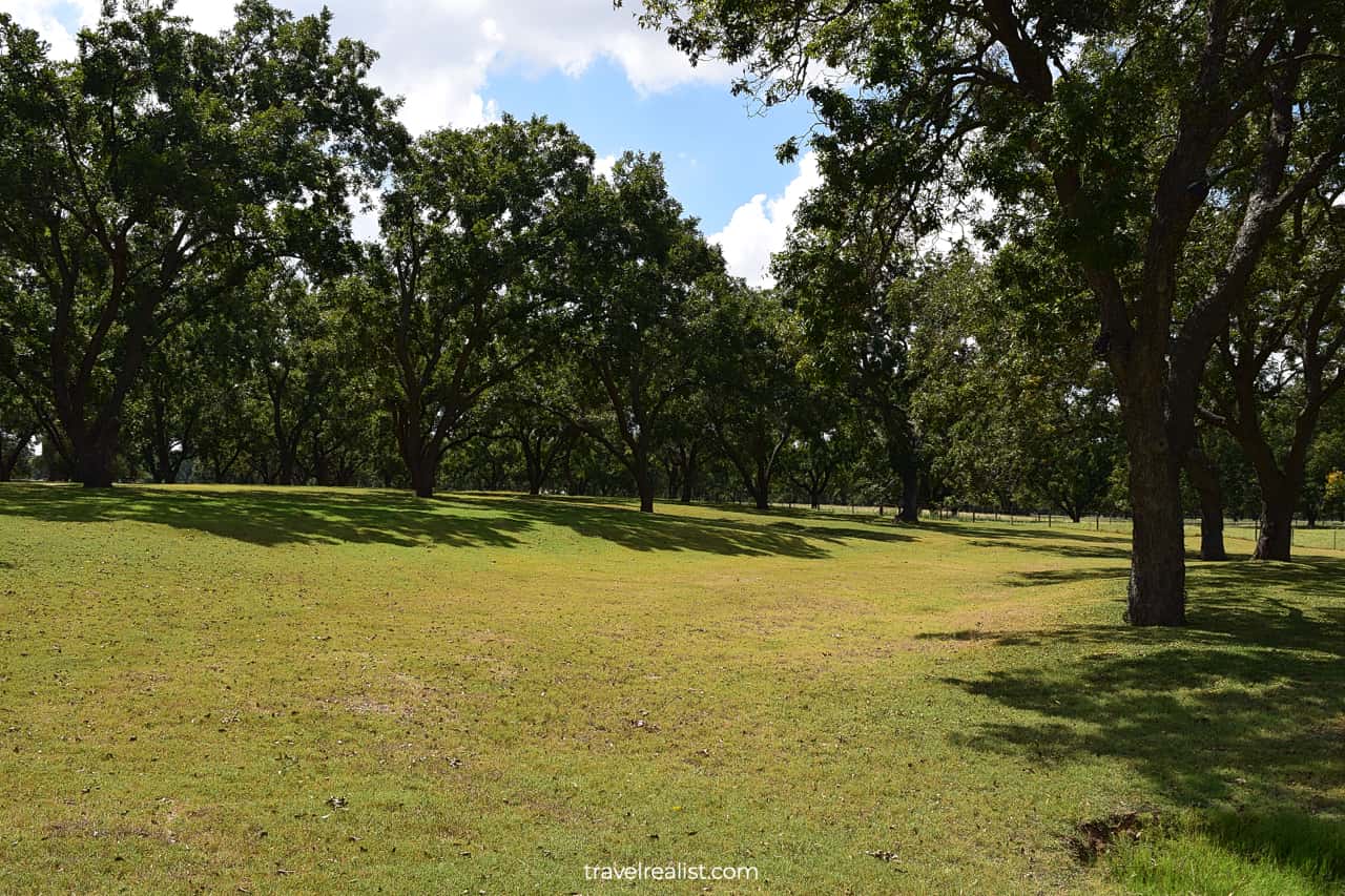 Johnson Family Cemetery in Lyndon B. Johnson National Historical Park, Texas, US
