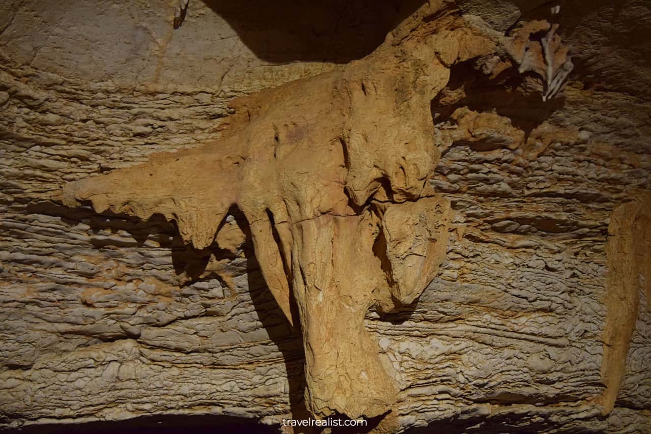 Longhorn formation in Longhorn Cavern State Park, Texas, US