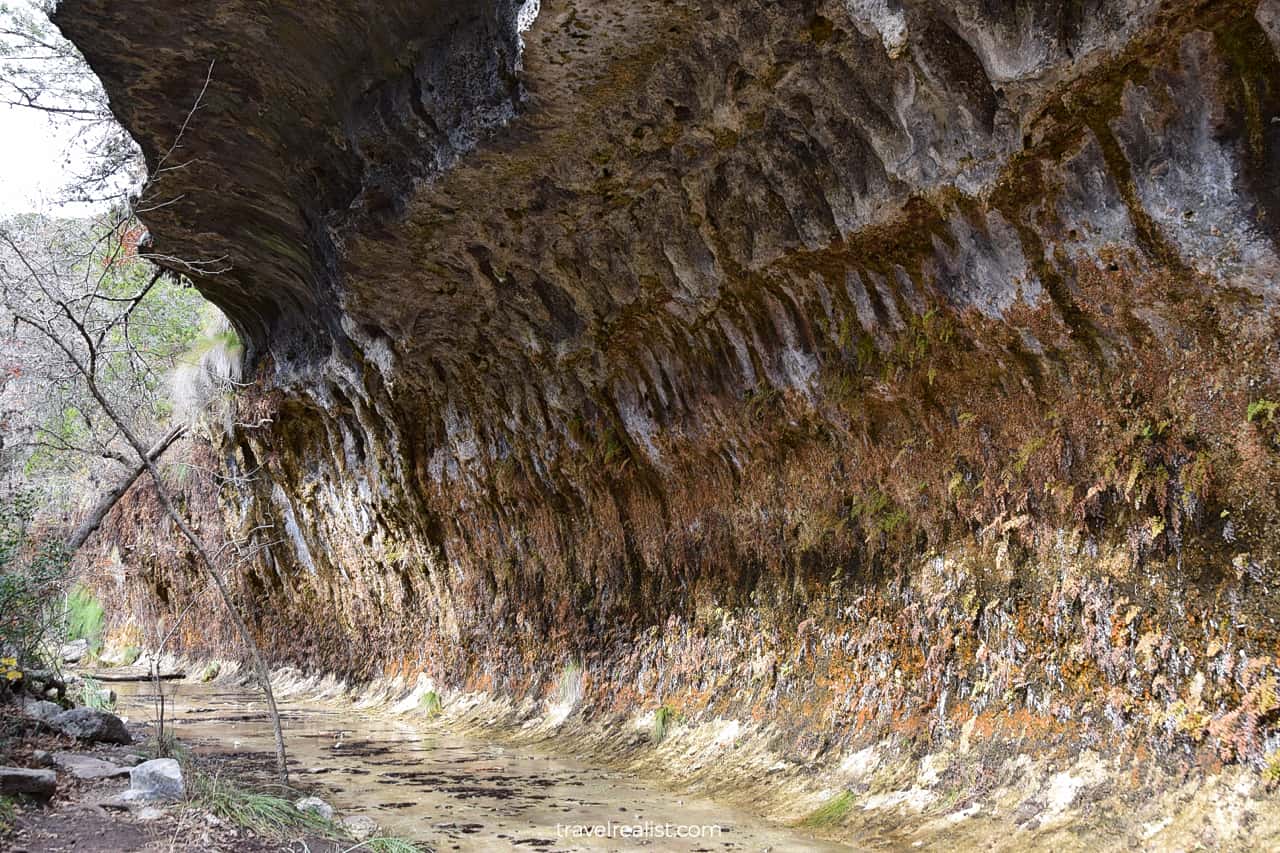 Grotto in Lost Maples State Natural Area, Texas, US