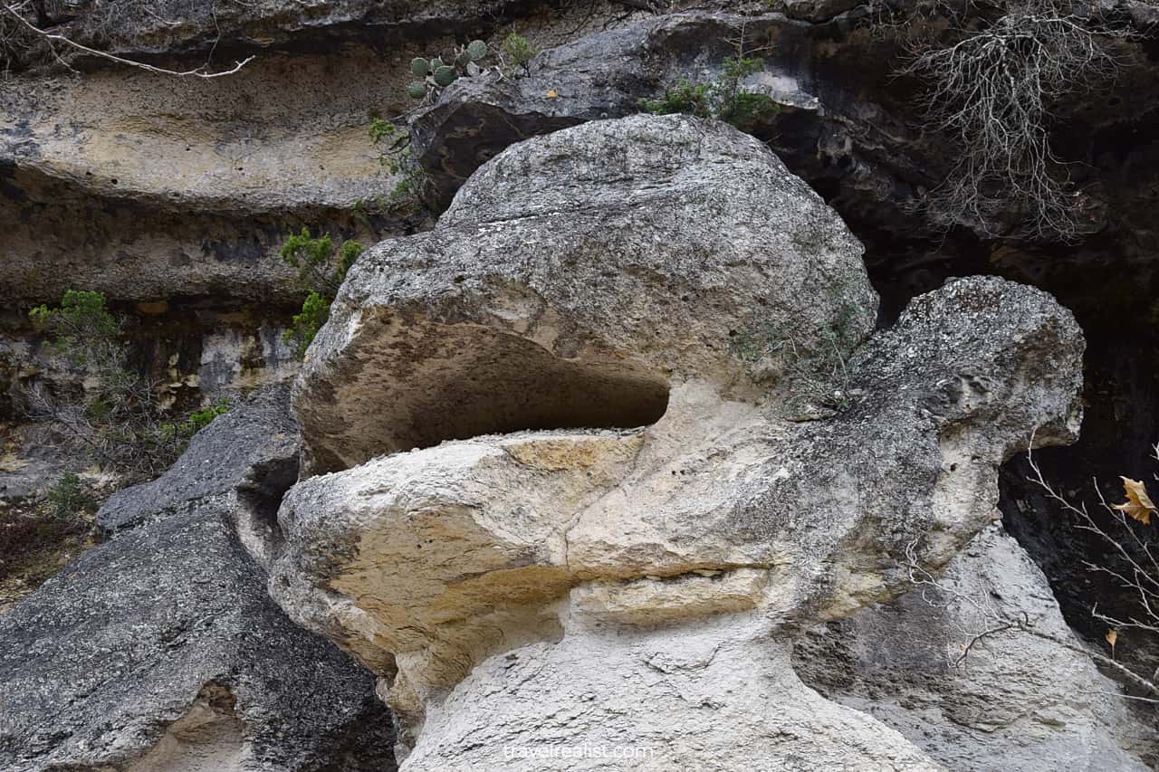 Monkey Rock in Lost Maples State Natural Area, Texas, US