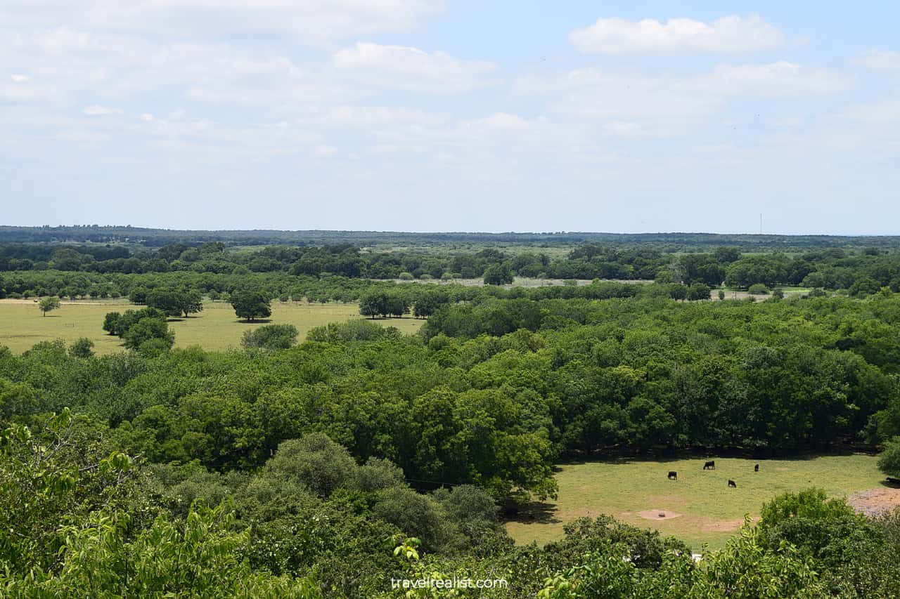 Scenic Overlook with Texas prairies, forests, and cattle in Palmetto State Park, Texas, US