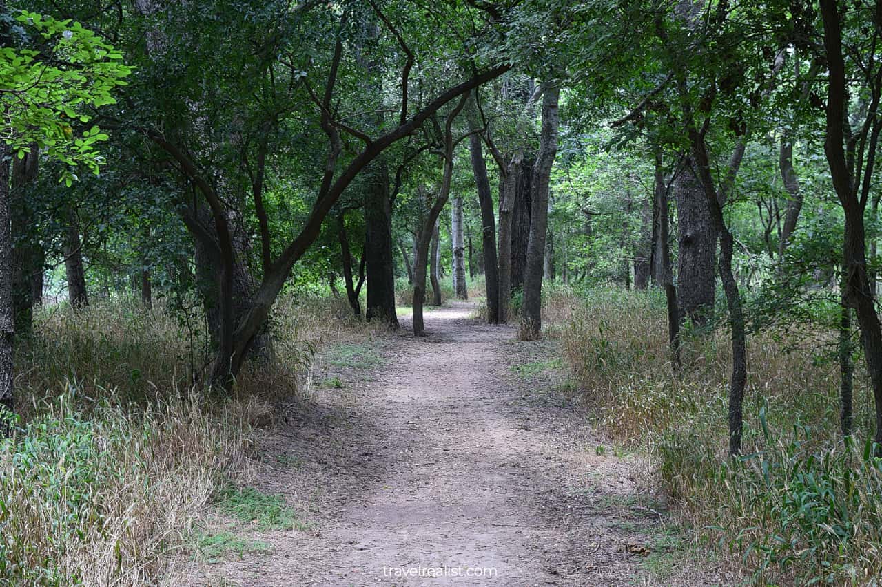 Wooded Mossycup and Canebrake Spurs in Palmetto State Park, Texas, US