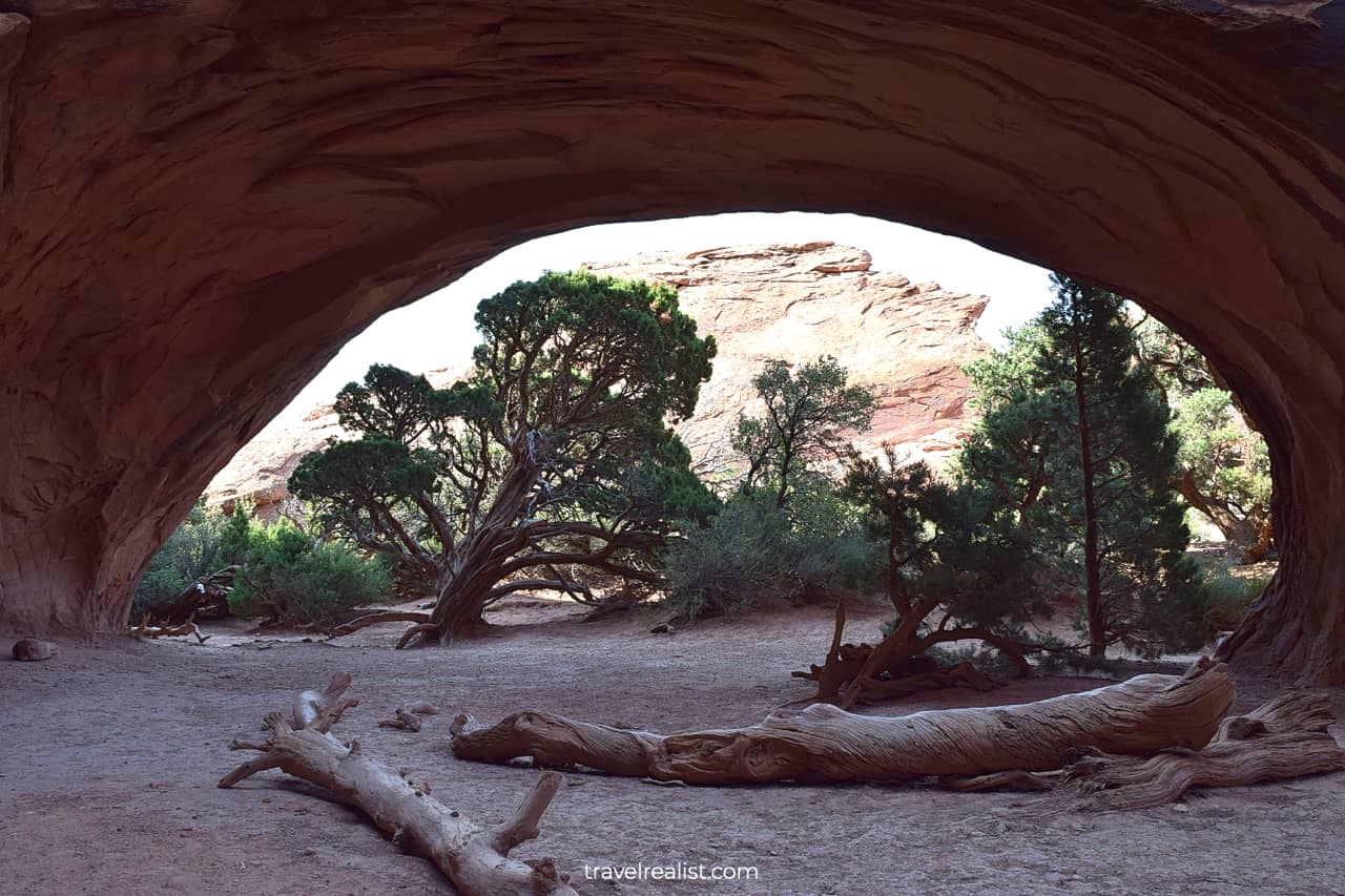 Navajo Arch providing shade for travelers and vegetation in Arches National Park, Utah, US