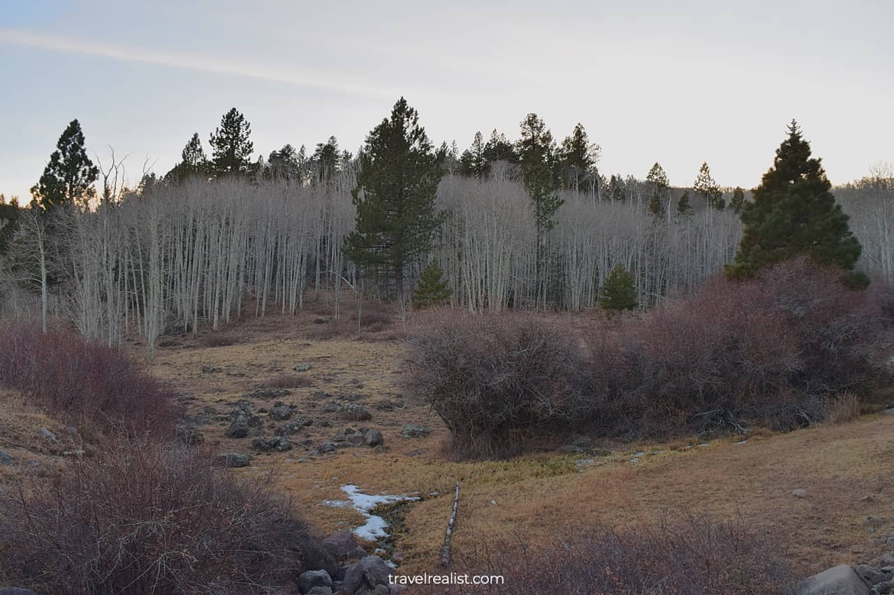 Homestead Overlook in winter in Fishlake National Forest, Utah, US