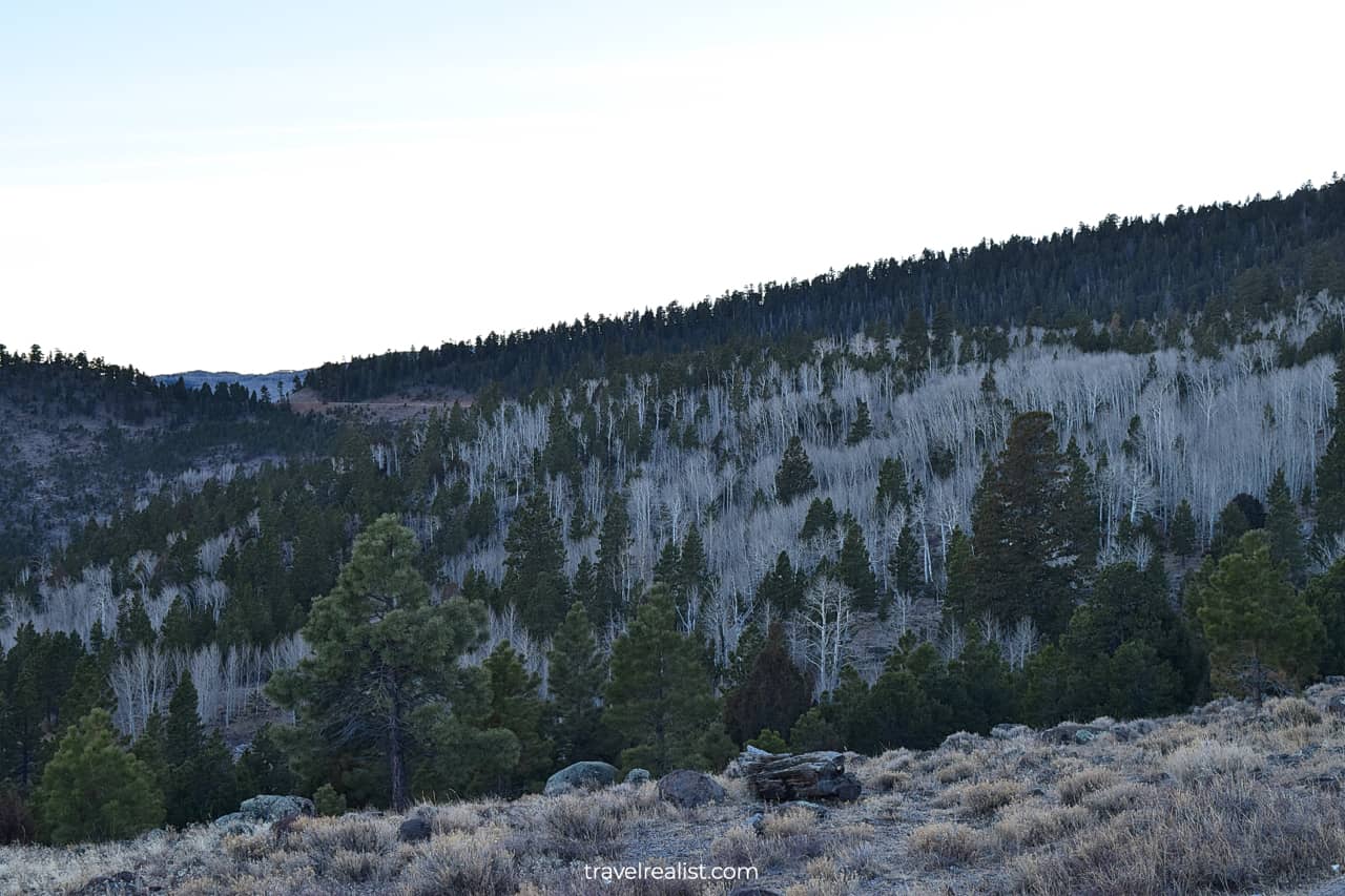 Winter views of Fishlake National Forest in Utah, US