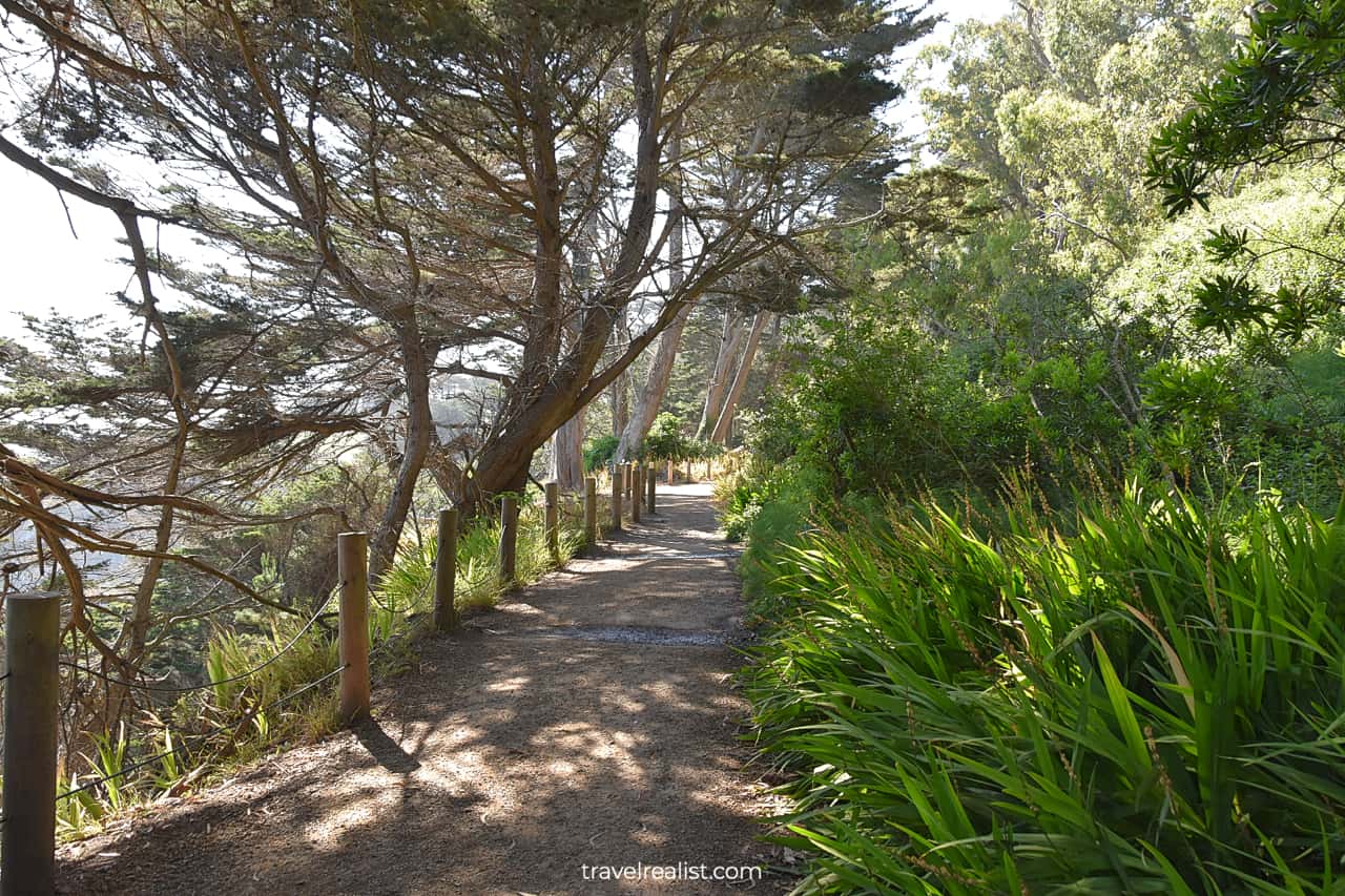 Trail at Lands End near Deadman's Point in San Francisco, California, US