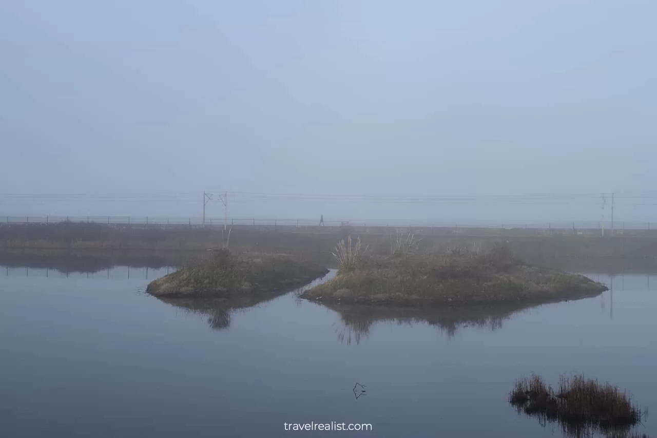 Booterstown Nature Reserve and DART line in fog in Dublin, Ireland