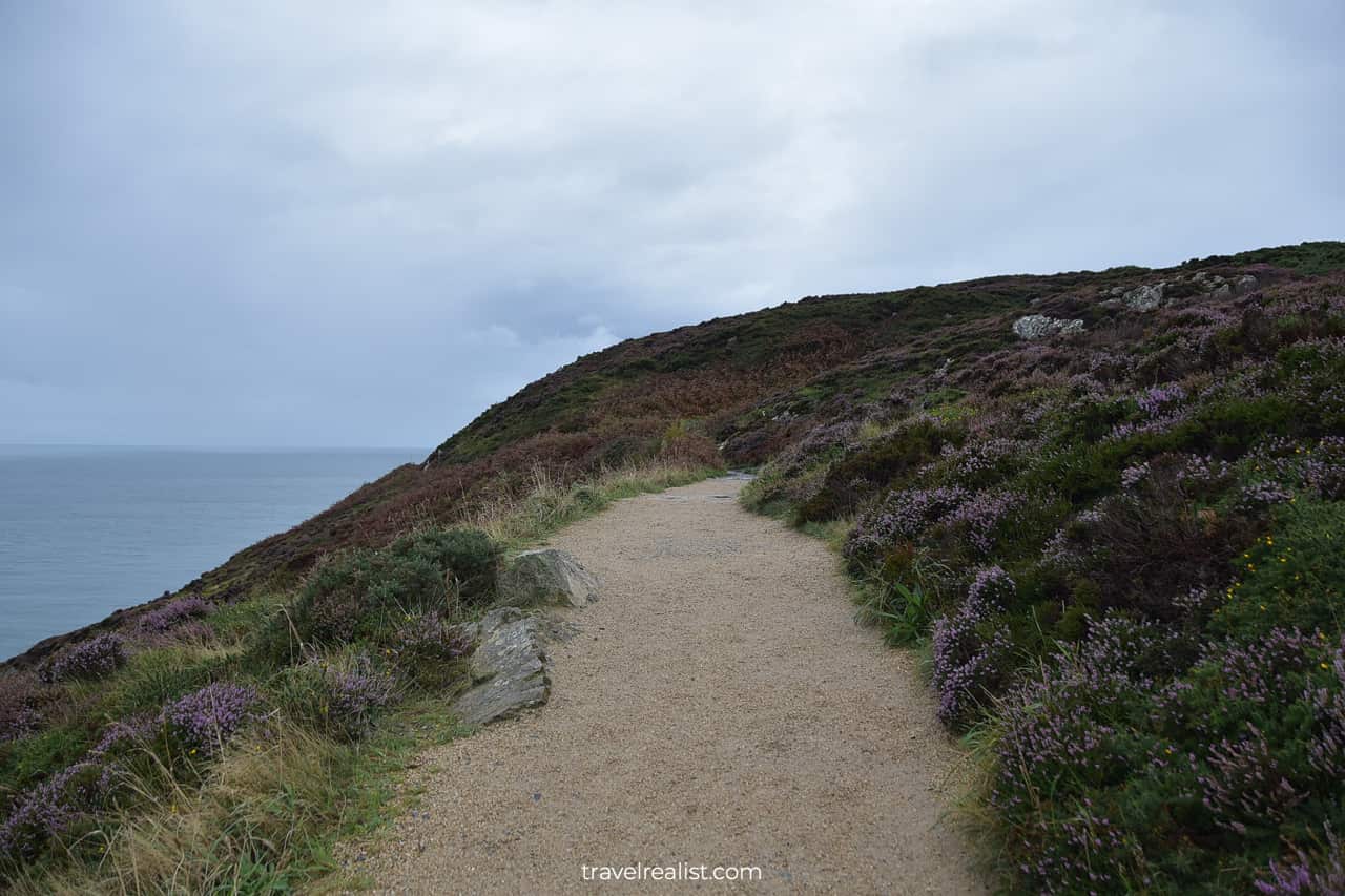 Howth Cliff Walk and surrounding wildflowers in Ireland