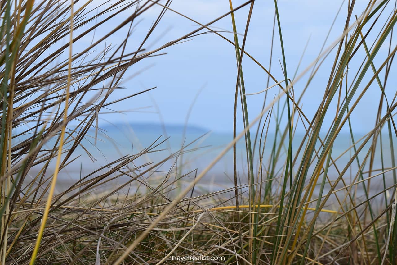 Lambay Island viewed from grass on Portmarnock Beach sand dunes near Dublin, Ireland