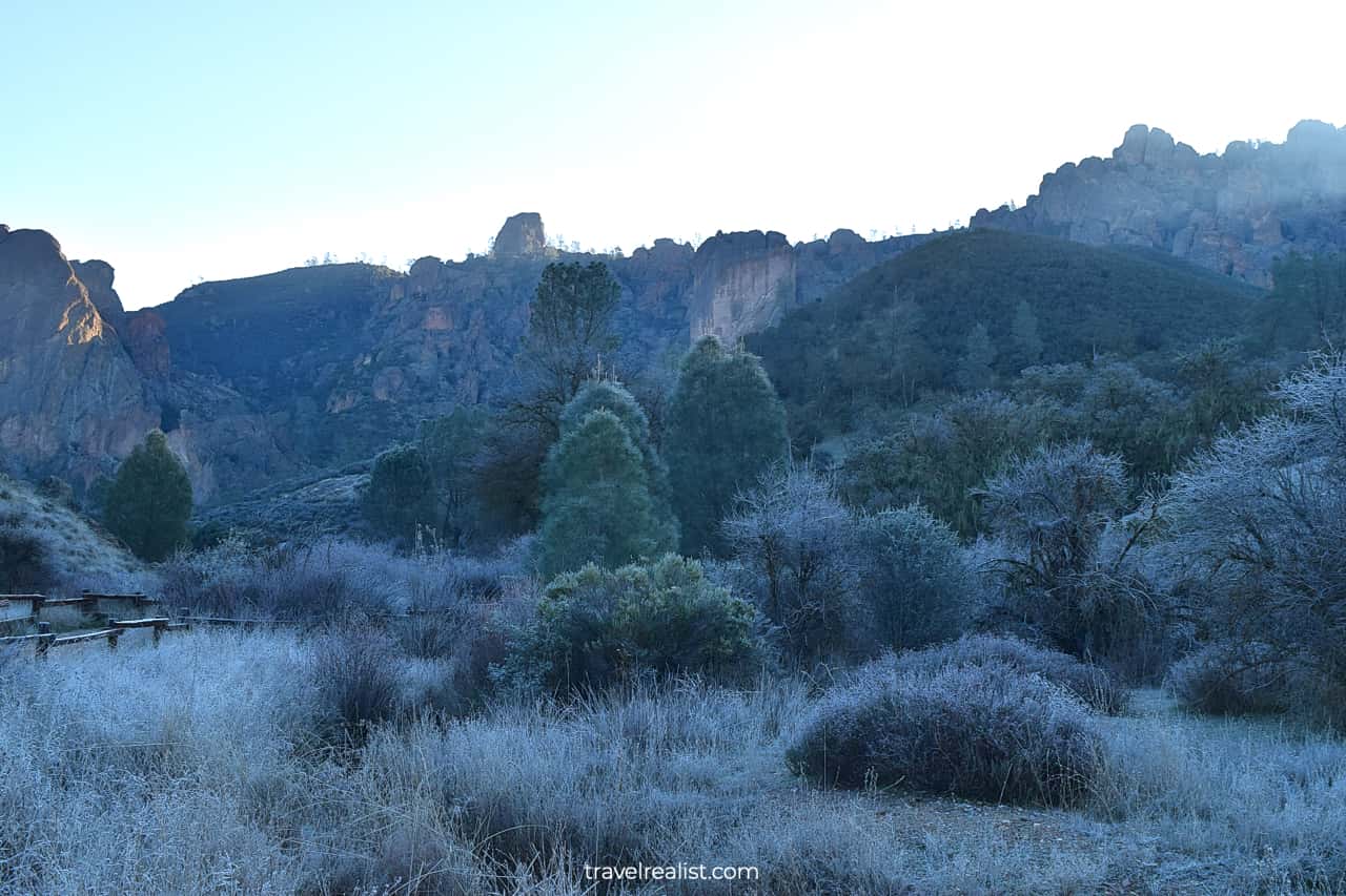 Trees and bushes on Balconies Trail in Pinnacles National Park, California, US