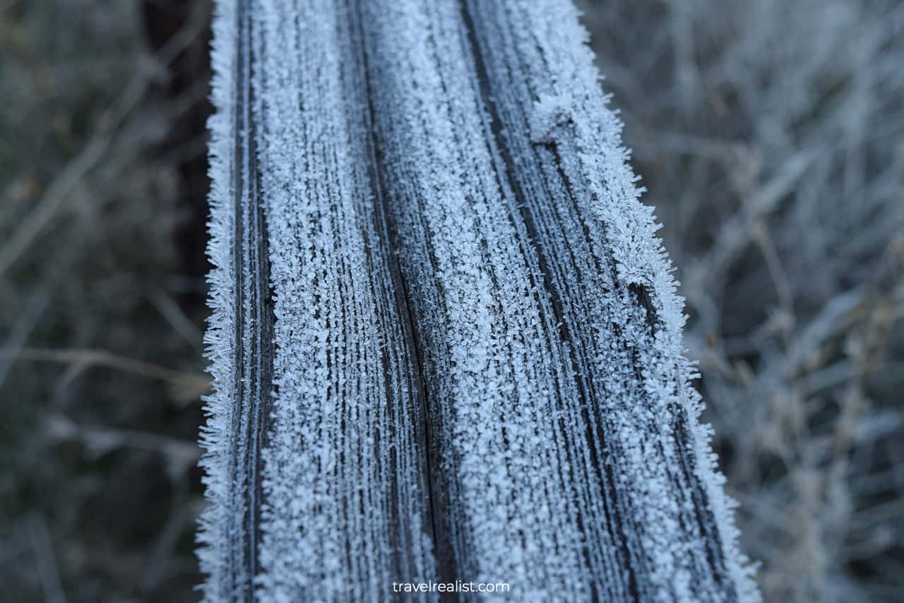 Frost patten on fence in Pinnacles National Park, California, US