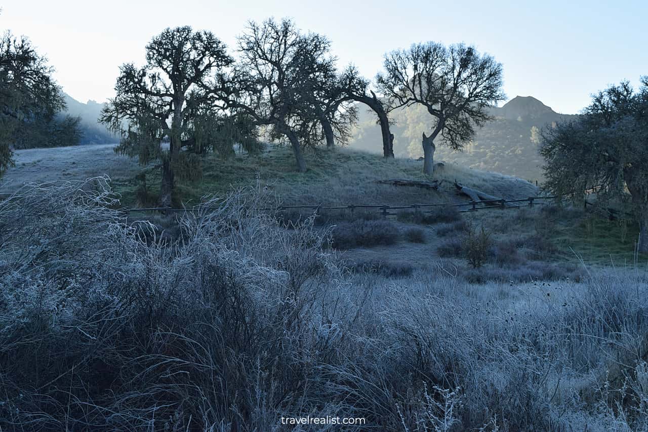 Fog and sunshine in Pinnacles National Park, California, US