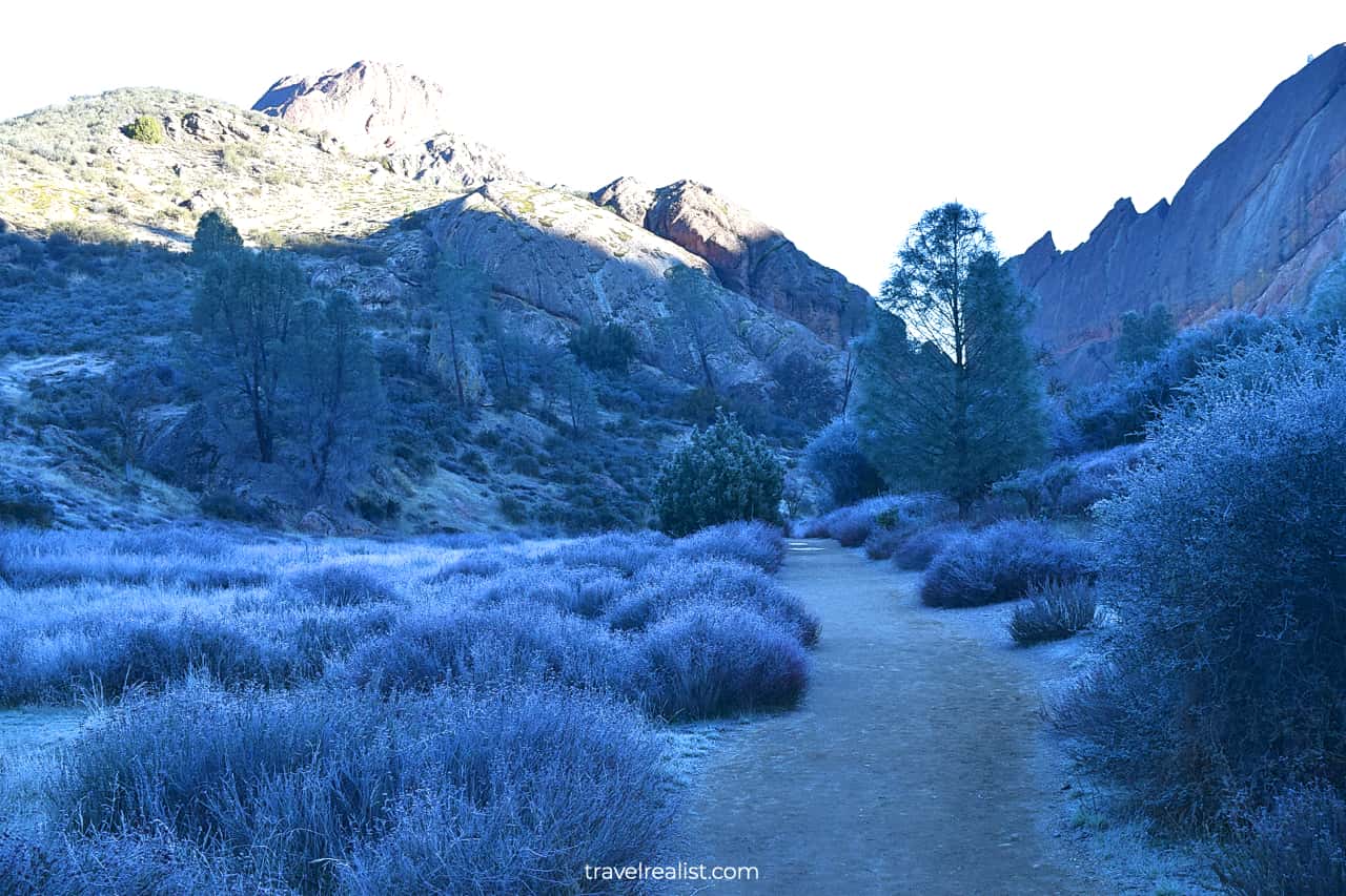 Winter wonderland in Pinnacles National Park, California, US