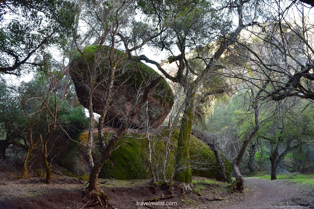 Boulders next to trail in Pinnacles National Park, California, US