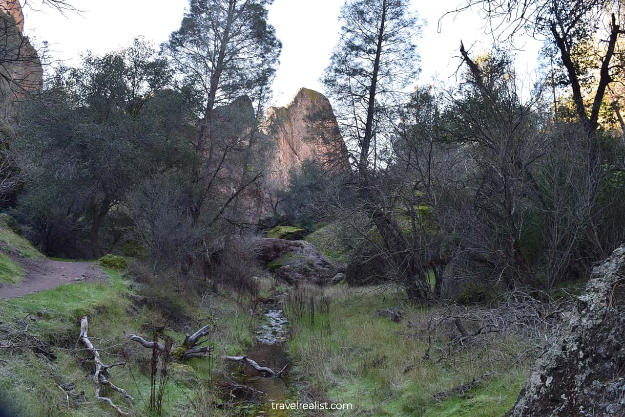 Melted frost in Pinnacles National Park, California, US