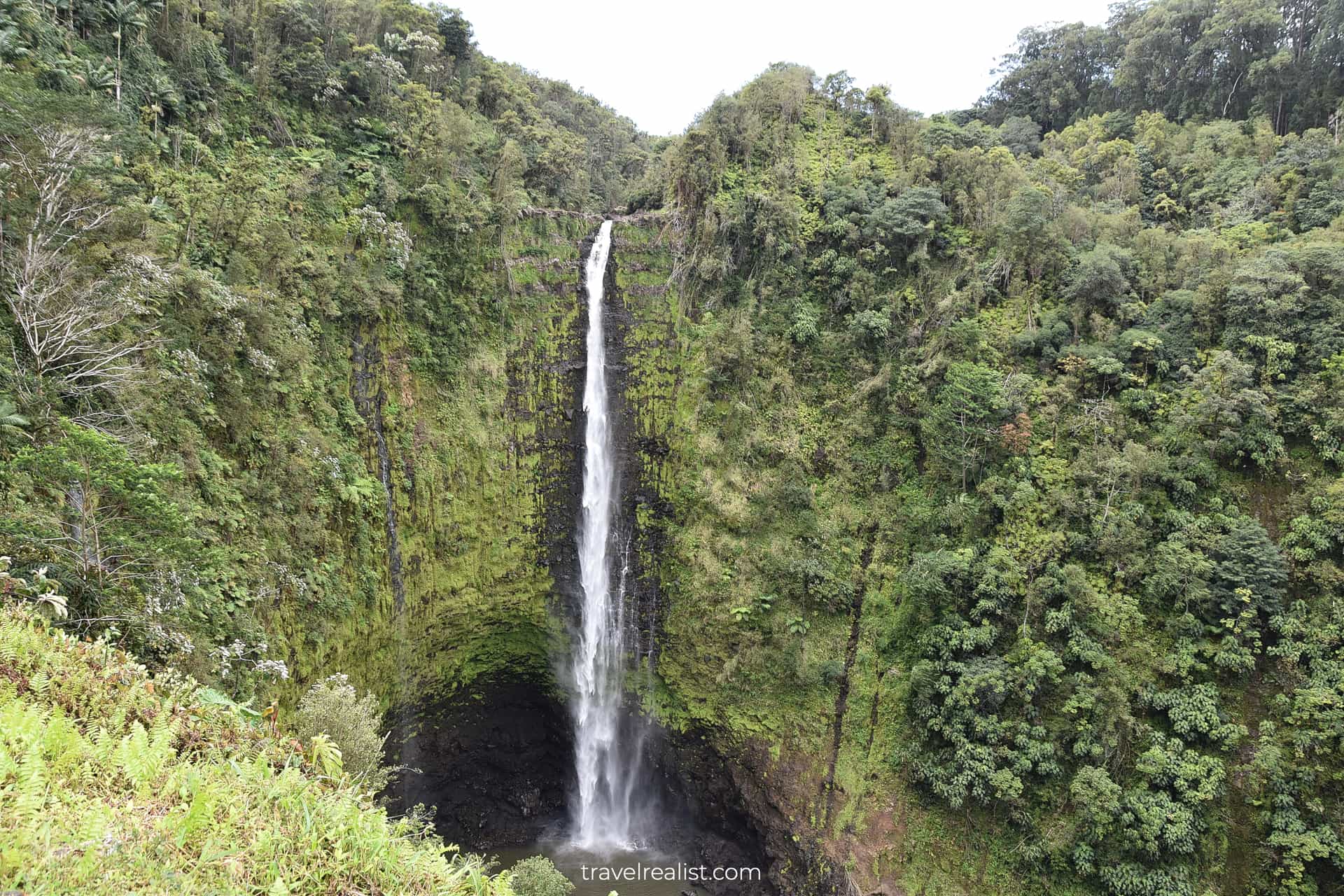 Akaka Falls near Hilo on Big Island in Hawaii, US