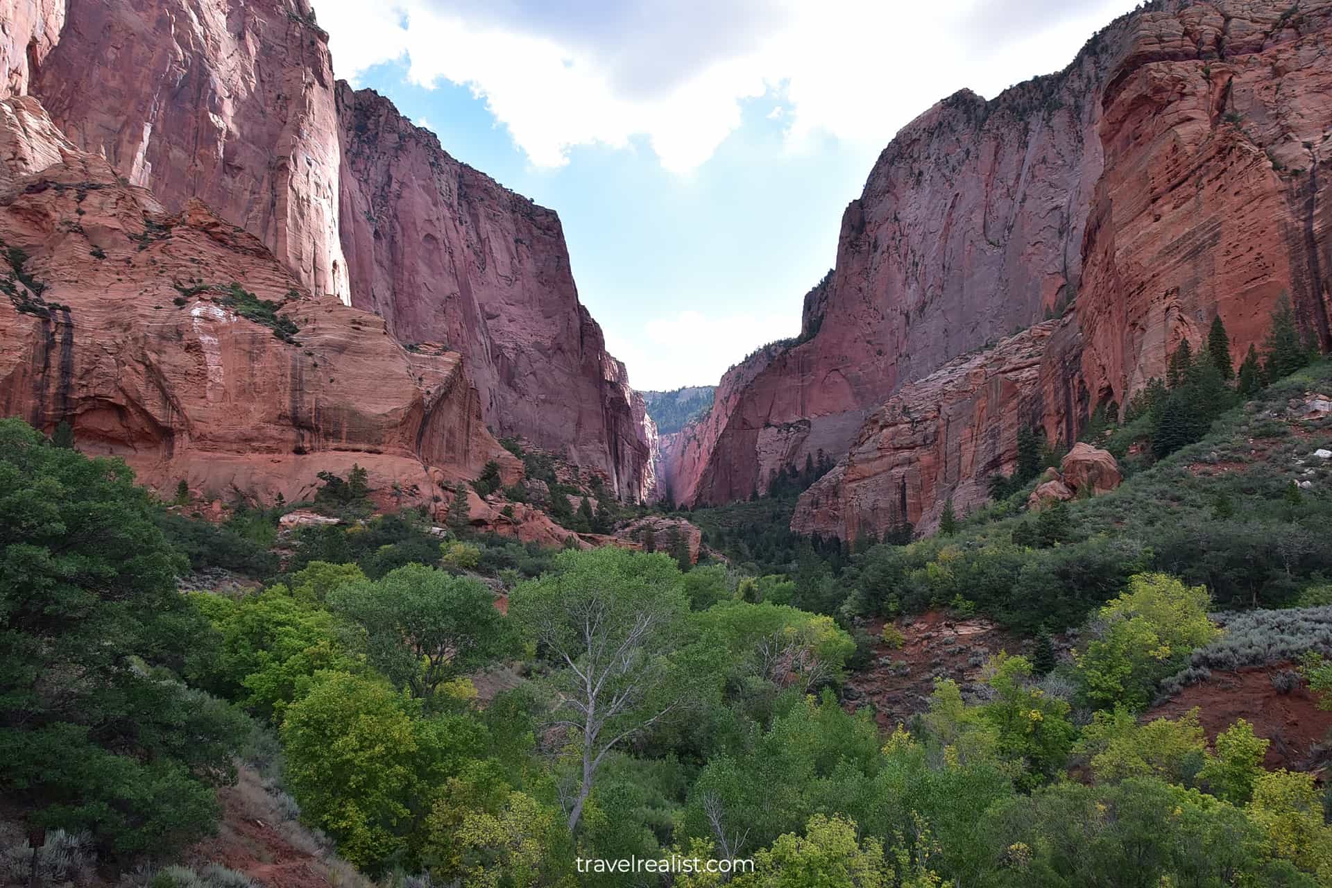 Views of Paria Point and Taylor Creek South Fork in Zion National Park, Utah, US