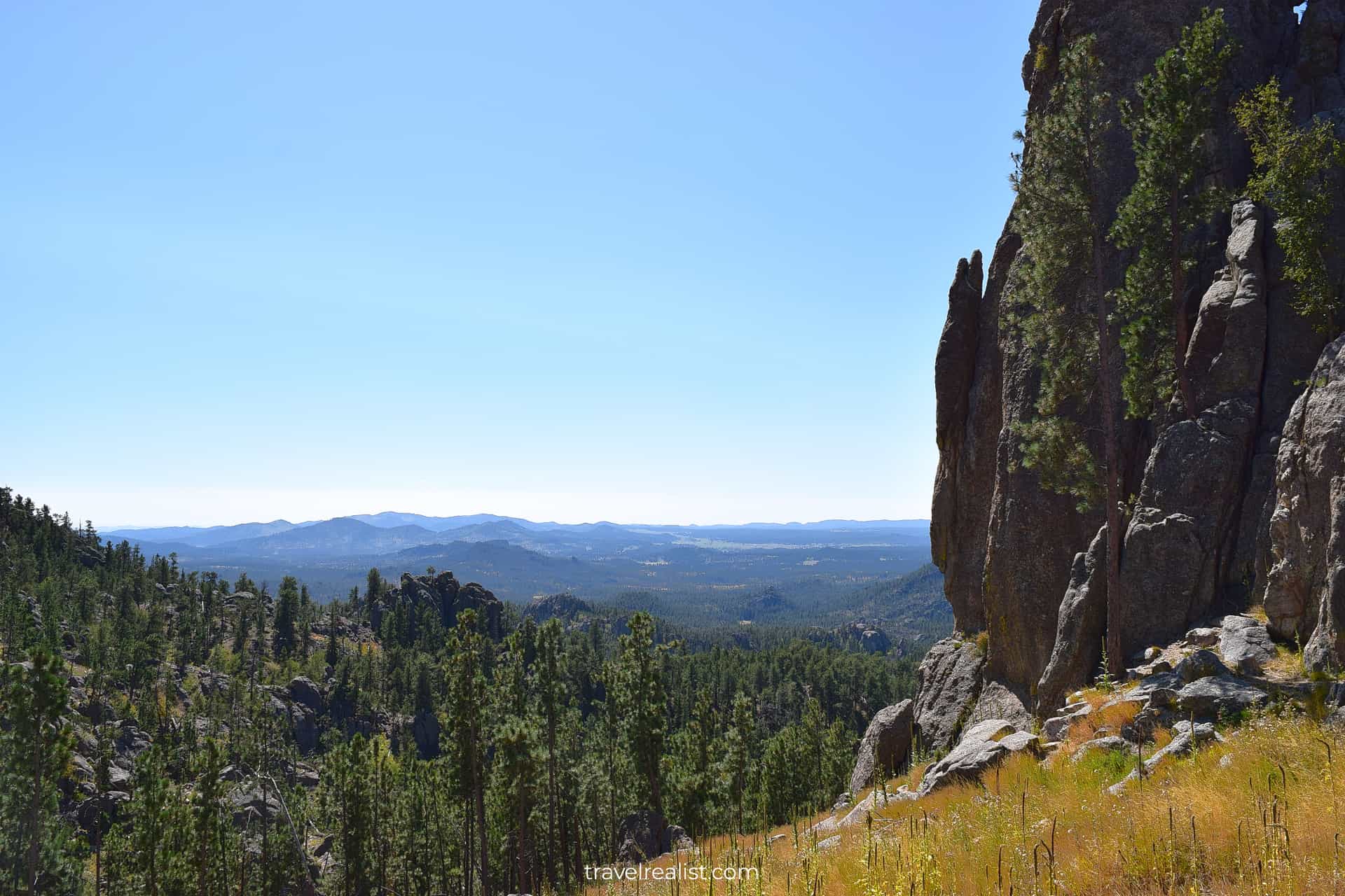 Boulders, pines, and Black Hills in Custer State Park, South Dakota, US