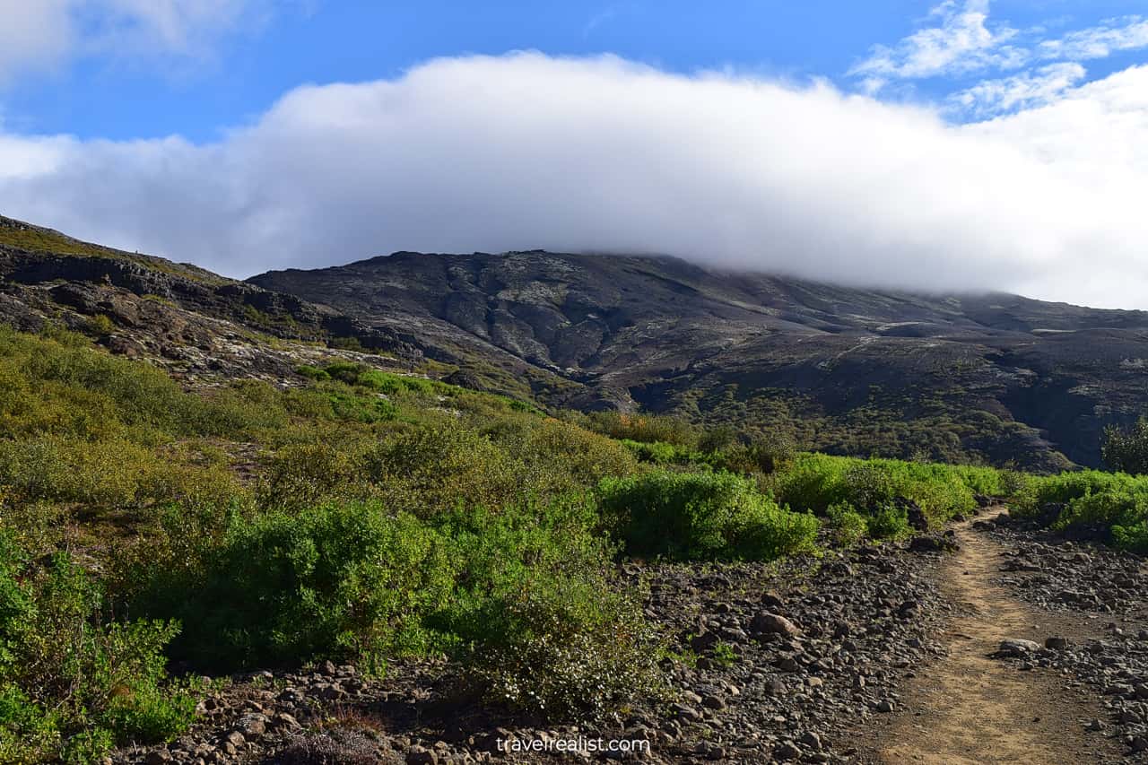 Path towards Glymur Waterfall in Iceland