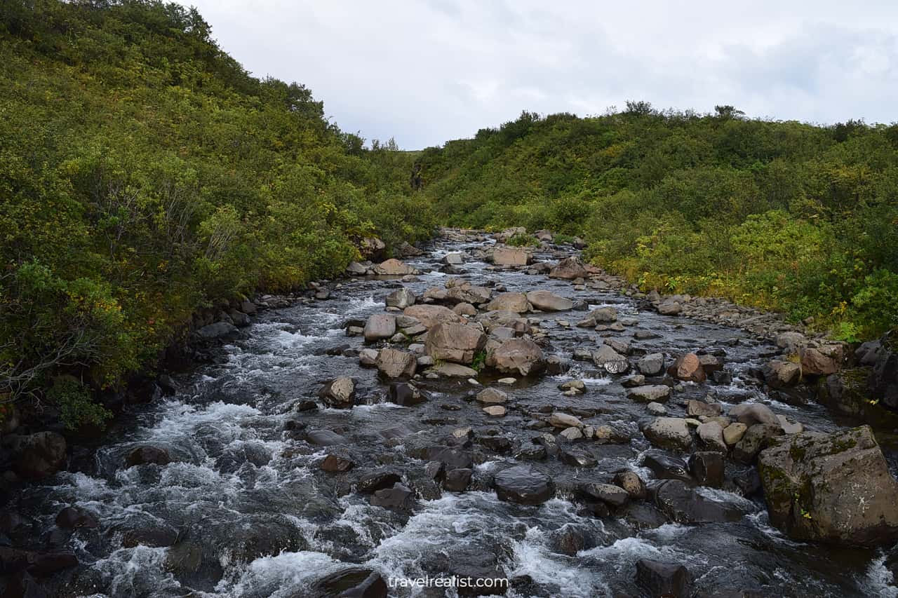 Creek in Skaftafell National Park in Iceland