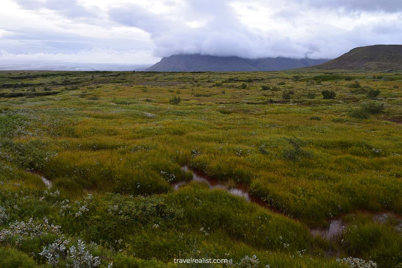 Meadows and swamps in Skaftafell National Park in Iceland