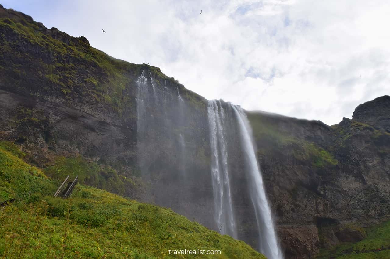 Birds above Seljalandsfoss waterfall in South Iceland